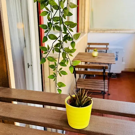 Rose In * Rome
