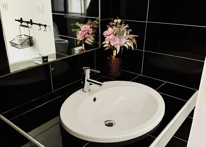 Rose In 民宿 罗马