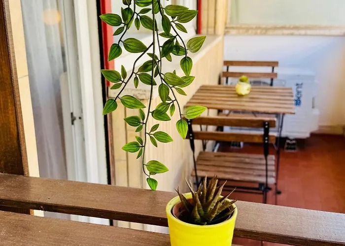 Rose In * Róma